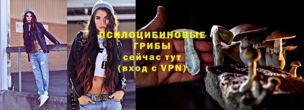 таблы Алексин